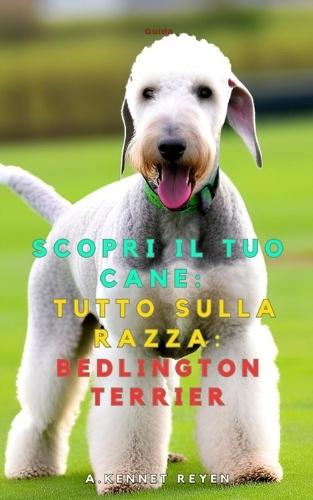 Scopri il tuo Cane: Tutto sulla razza: Bedlington Terrier