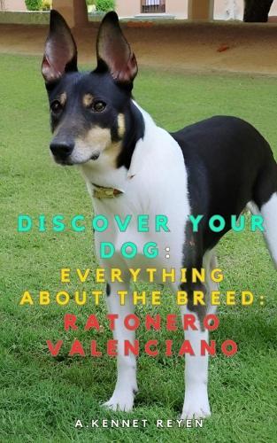 Scopri il tuo Cane: Tutto sulla razza: Ratonero Valenciano