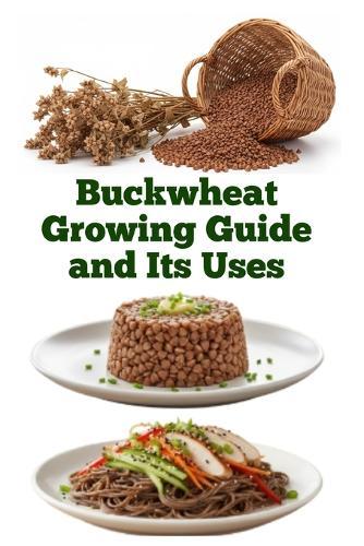 Buckwheat Growing Guide and Its Uses