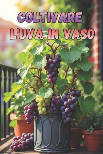 Coltivare l'uva in vaso: Coltivazione dell'uva in vaso passo dopo passo per principianti e dilettanti