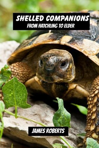 Shelled companions: From hatchling to elder