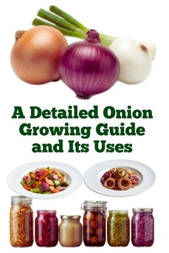 A Detailed Onion Growing Guide and Its Uses