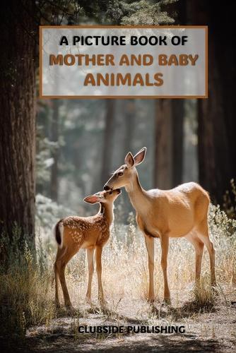 A Picture Book of Mother and Baby Animals: A Calming Collection of Gentle Springtime Animal Photos for Seniors with Alzheimer's and Dementia