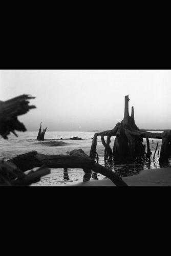 Mare Balticum - und das Tuch des Todes senkte sich herab .....: Das Meer der gefrorenen Seelen Sinfonie des Eiswindes