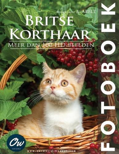 Britse Korthaar: Fotoboek