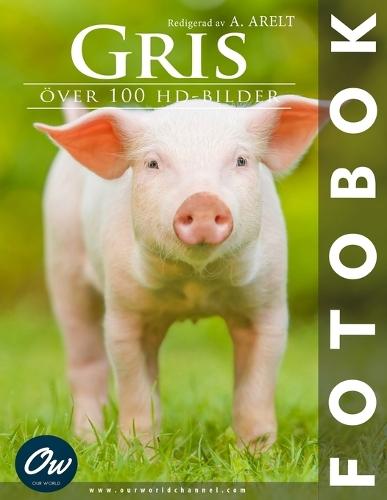 Gris: Fotobok