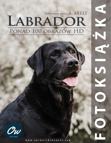 Labrador: Fotoksi&#261;&#380;ka