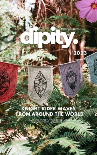 Dipity Literary Magazine Issue #3 (Knight Rider Waves): Softback Economy