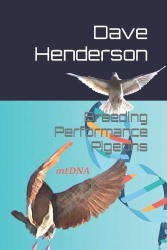 Breeding Performance Pigeons
