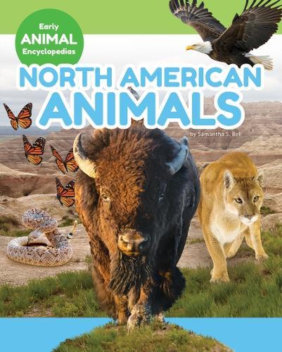 North American Animals