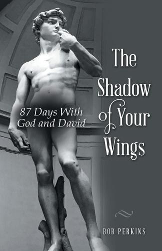 The Shadow of Your Wings: 87 Days With God and David