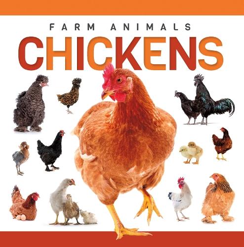 Chickens