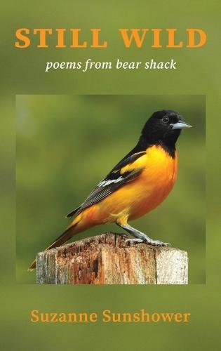 Still Wild: Poems from the Bear Shack