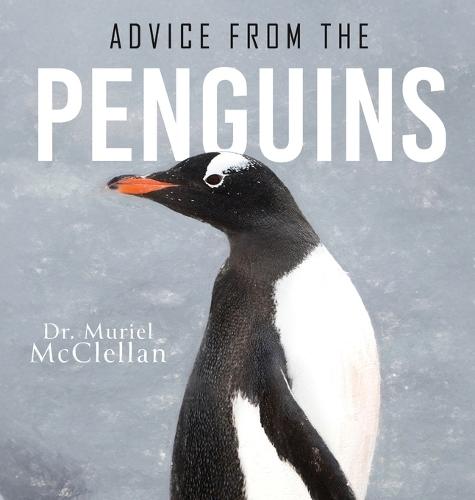 Advice from the Penguins