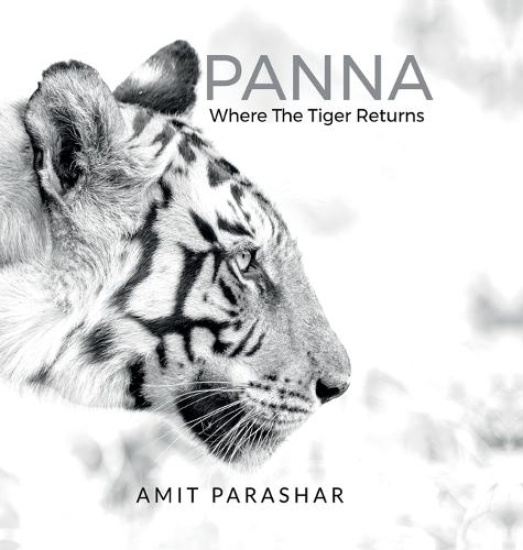Panna: Where the Tiger Returns