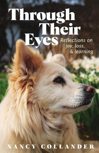 Through Their Eyes: Reflections on joy, loss, and learning