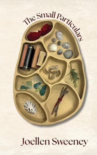 The Small Particulars